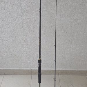 Vara Avenger 12 a 25 libras