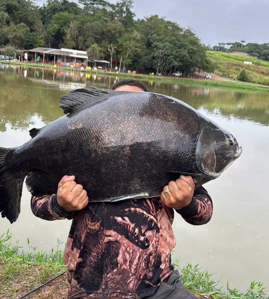 canaa_pescaweb_2